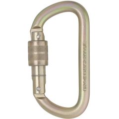 DMM 10mm Equal D Steel Carabiner - Screw Locking